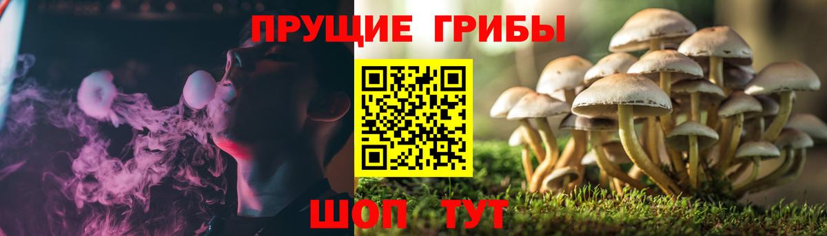 Галлюциногенные грибы ЛСД Дмитров